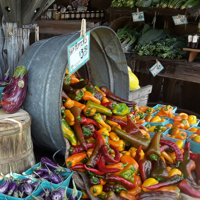 Forklift Catering - Boston - Food Source - Land's Sake Farm