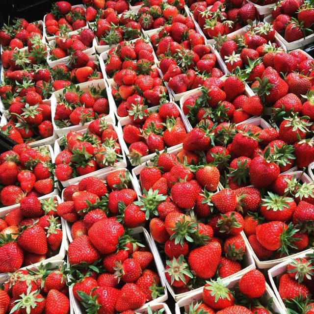 Forklift Catering - Boston - Food Source - Ward's Berry Farm