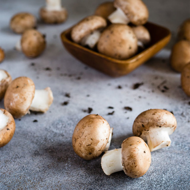 Forklift Catering - Boston Food Source - Wild Mushrooms - Ben Maleson