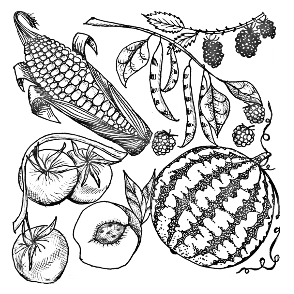 Fall Forklift Catering